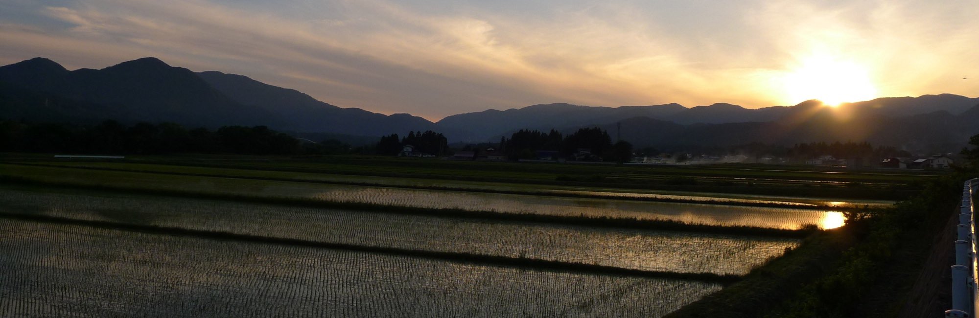 Paesaggio con risaie di agricoltura biologica quasi parallele al lato lungo dell'immagine. Il sole cala dietro le montagne sullo sfondo e i colori sono oscurati. si apprezzano le giovani piantine di riso che crescono in file regolari nell'acqua dal riflesso argento-dorato. Nel cielo nuvole a strati.